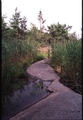 High water on Trapper Trail
