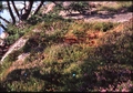 Vassaro2007-090