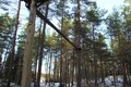 Reach for the skies