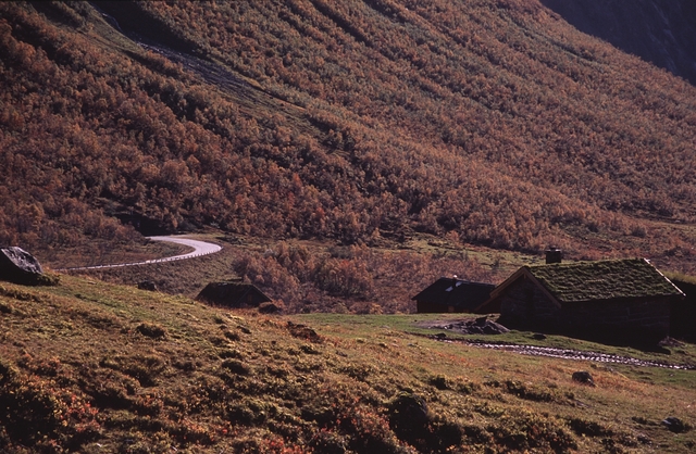 On the road to Sandsøya
