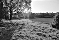 static/tracks/3/preview-099-s.jpg