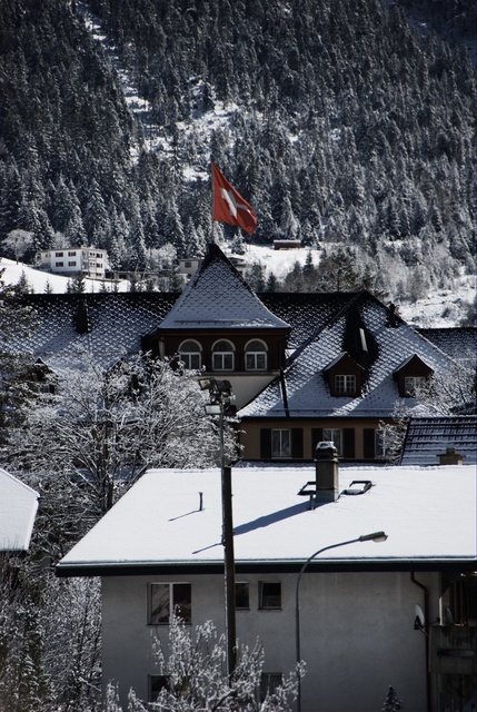 Roofs