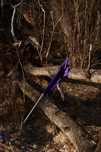 The flag of the Purple Order