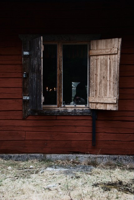 Window