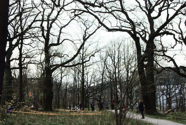 ScouternasDag2008-003
