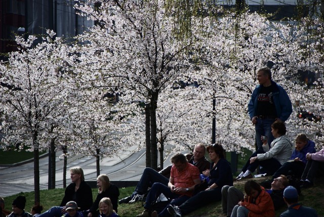 ScouternasDag2008-035