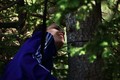Wilderness trail: checking the map