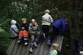 The scouts