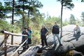 On the Trapper Trail