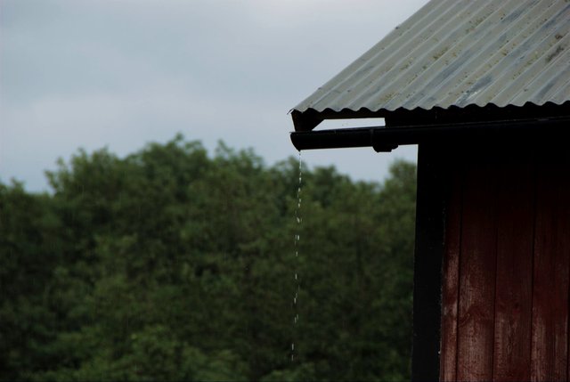 Rain