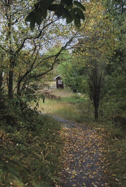 Autumn feeling 2