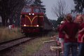 The train!