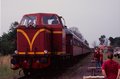 The train is very long