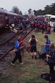 Scouts everywhere