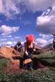 Digging a hole - 4