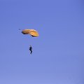 Some sort of messenger arriving