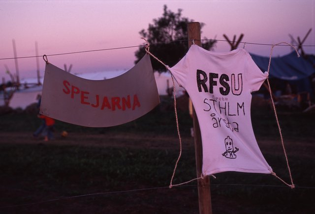 The flags