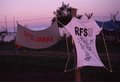 The flags