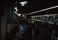 Here comes the train (and it's long)