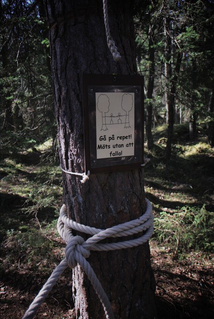 Walk on the rope, meet without falling of