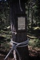 Walk on the rope, meet without falling of
