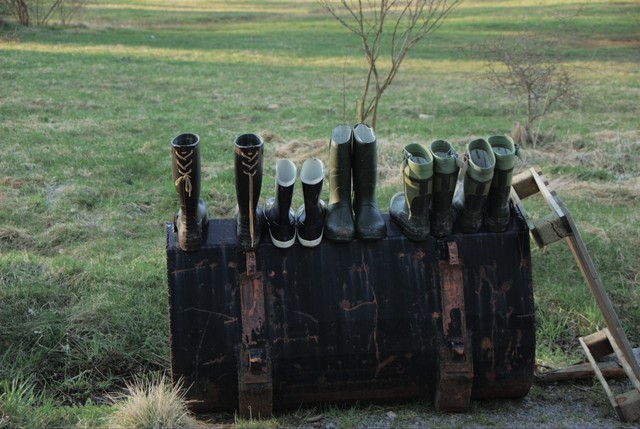 Boots