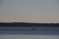 Low water level
