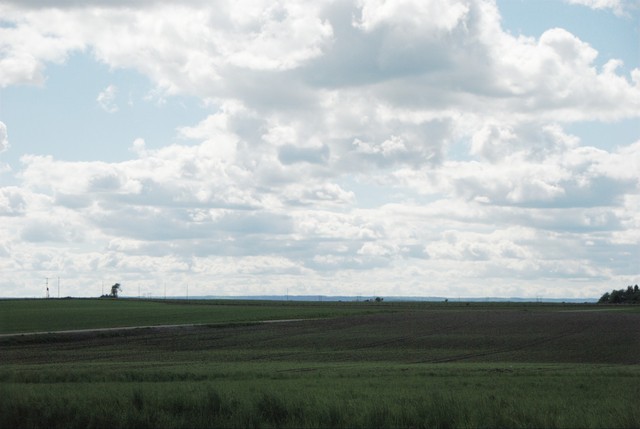 Open fields
