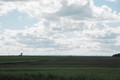 Open fields