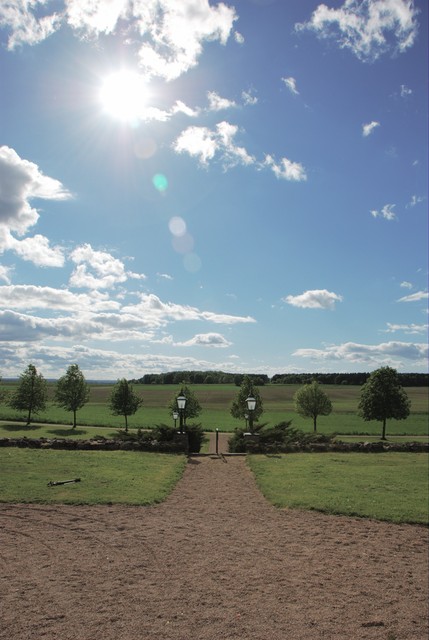 Into the Great Wide Open