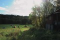 Atumn view
