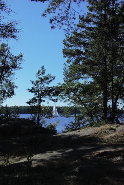 Sail