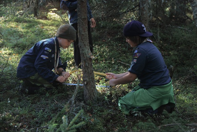 Woodcraft - 1