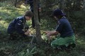 Woodcraft - 1