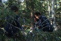 Woodcraft - 2