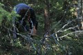 Woodcraft - 3