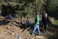 By the woodpile