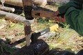Splitting a log - 3
