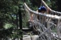 Modifying the monkey bridge