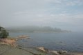 Summer fog - 1