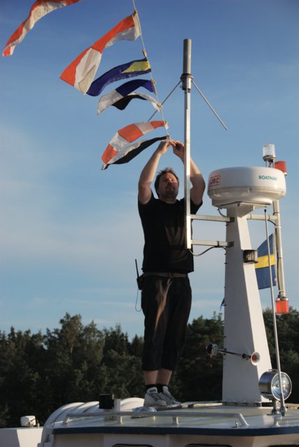 Flaggs in the antenna