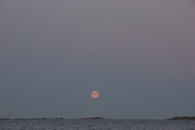 Low moon