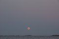 Low moon