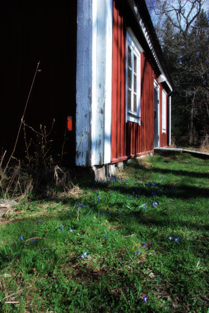 Spring is comming