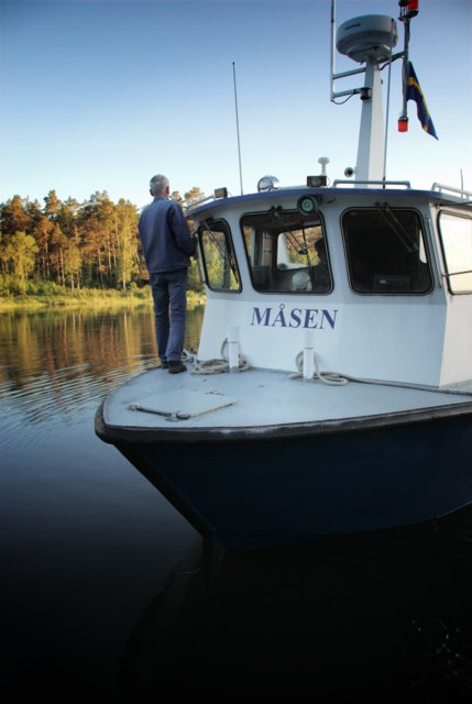 Midsummer 2010 - Måsen