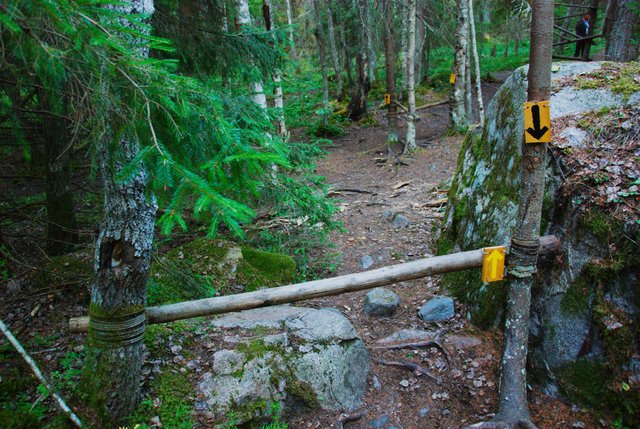 For future reference - which way?