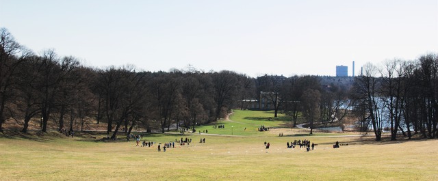 Scouternas Dag, Haga, Stockholm