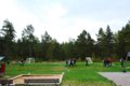 ScouternasNatt2010-052