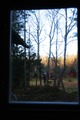 Autumn lights through old windows