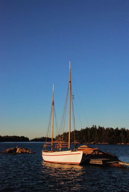 Fin
